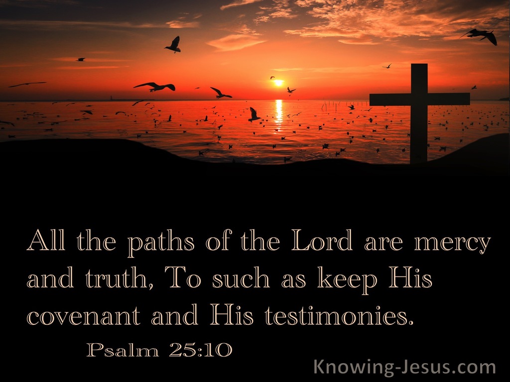 Psalm 25:10 All The Paths Of The Lord Are Mercy  And Truth (black)